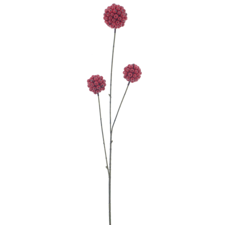 BRANCHE DE BAIE ROUGE BOULE 81CM les 6P