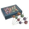 POMME PAILLETEE boite 48P