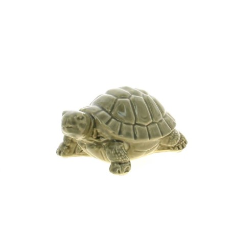 TORTUE VERNIS 18X11.7 H9.5CM à la pièce