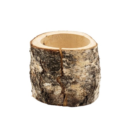 BUCHE BOULEAU GODET 10CM ( filet de 25 P)
