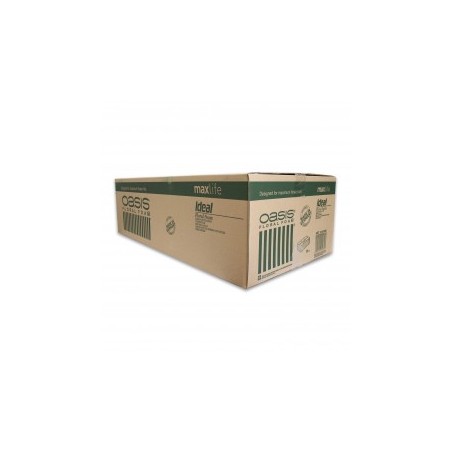 OASIS MOUILLABLE IDEAL EURO 35 10-01435