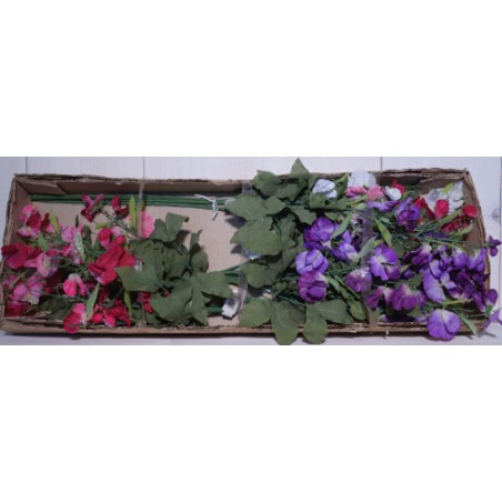 FLEUR POIS DE SENTEUR 69cm/ 12p