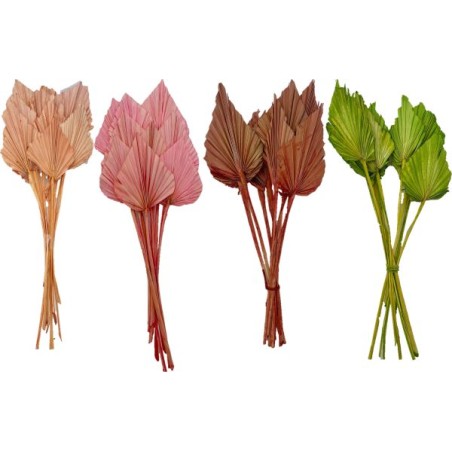 FEUILLE PALMIER COULEUR les 10P