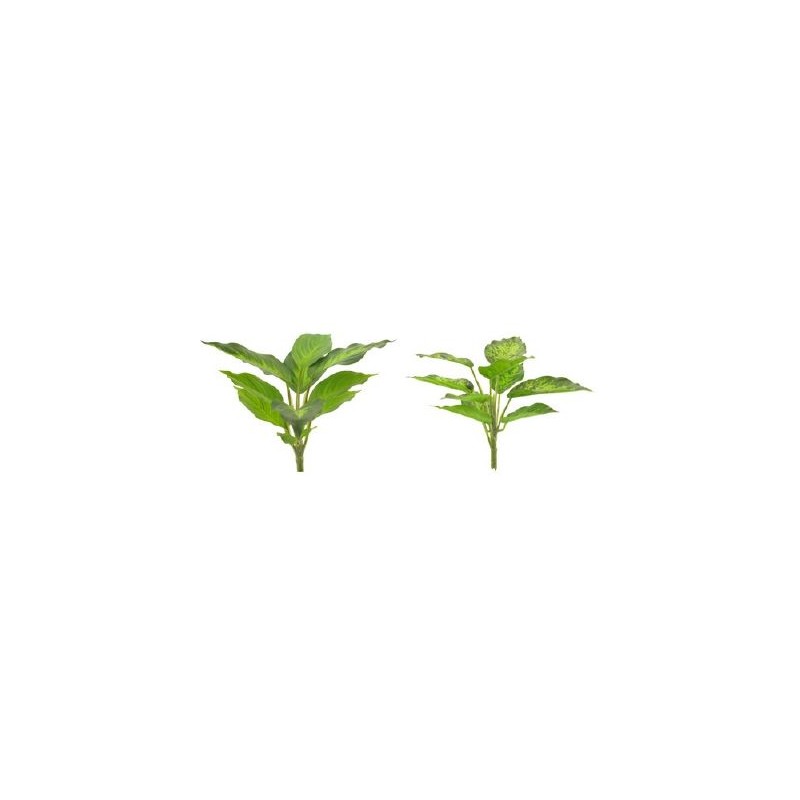 FEUILLE DIEFFENBACHIA H25CM la pièce