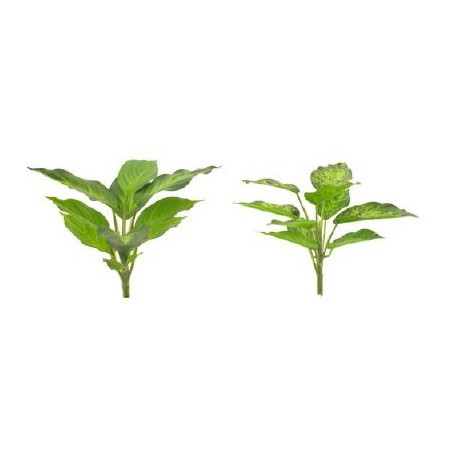 FEUILLE DIEFFENBACHIA H25CM la pièce