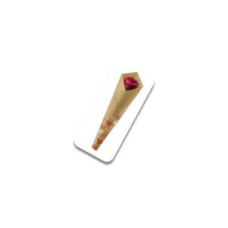 CONE A ROSE 53X15X3.5CM Fantaisie les 50P