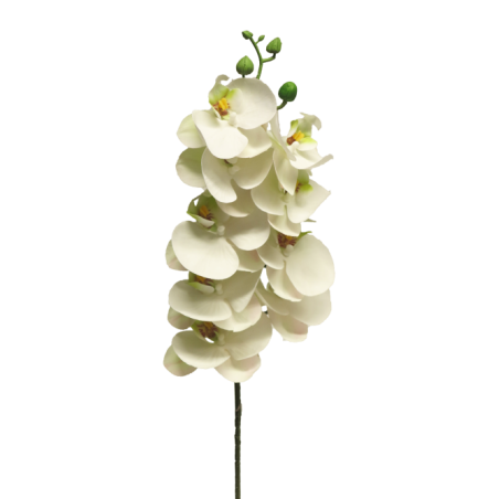 FLEUR PHALAENOPSIS BORA 77CM à la pièce