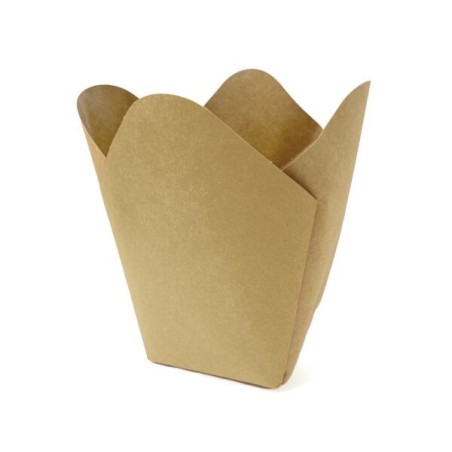 C.POT CARTON ORCHIDEE STAMPO 15.5CM les 25P