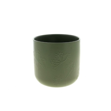 C.POT PARSLEY 018.5 H18CM les 6P