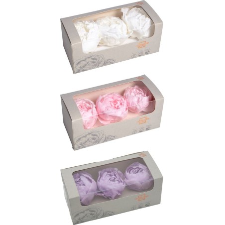 VERDISSIMO-PEONY boite 3P
