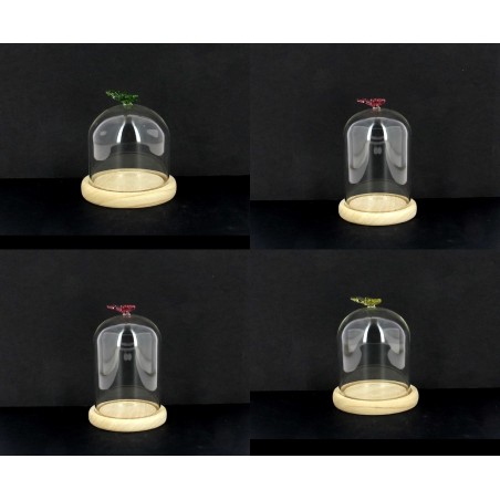 VERRE CLOCHE PAPILLON 010 H15CM les 6P