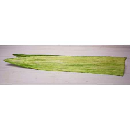 PETALE 'LILY" H25CM sac de 50 pièces