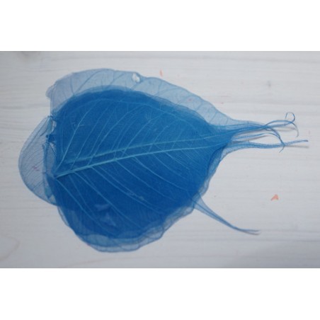 FEUILLE SKELETON COULEUR/ 200p