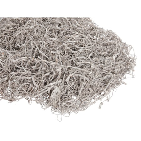 CURLY MOSS BOITE 250gr