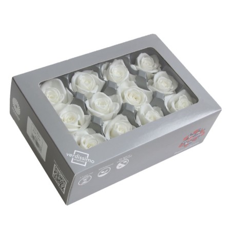 VERDISSIMO-ROSE mini 12P