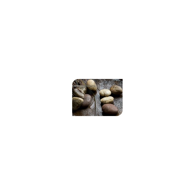 GALET DE RIVIERE SEAU 4Kg (2.5L)