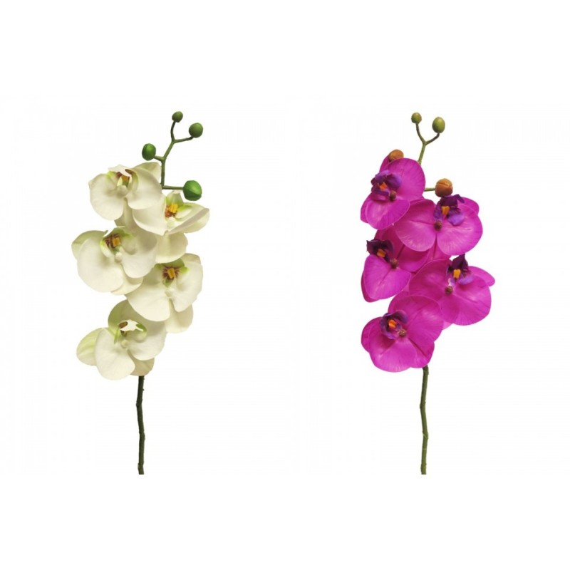 FLEUR PHALAENOPSIS 58CM à la pièce