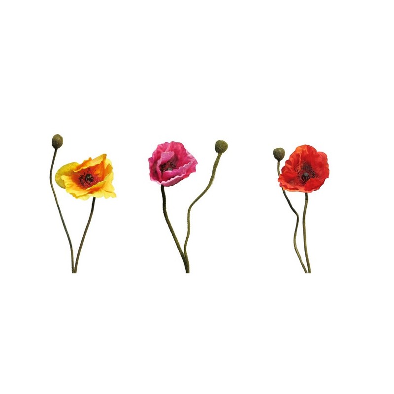 FLEURS PAVOT RHOES BEAUTY 60CM/1P