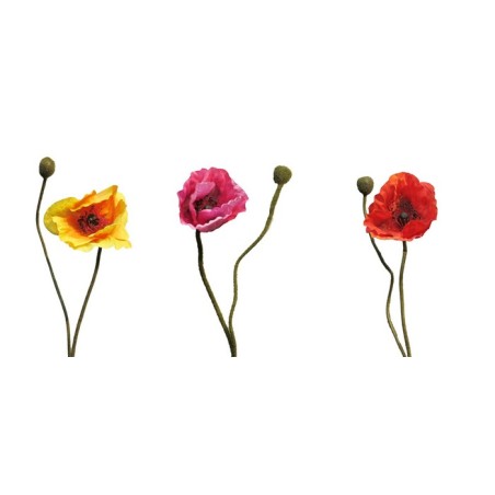 FLEURS PAVOT RHOES BEAUTY 60CM/1P