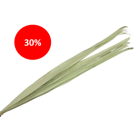 FEUILLE SECHEE 90-110CM /10P