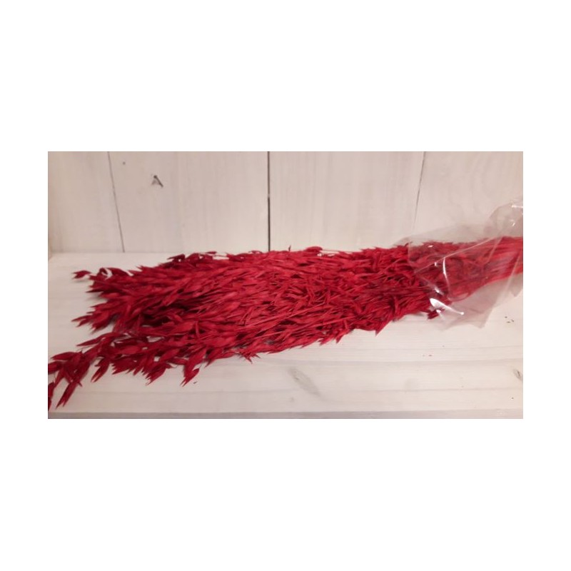 AVOINE COULEUR SAC 150gr