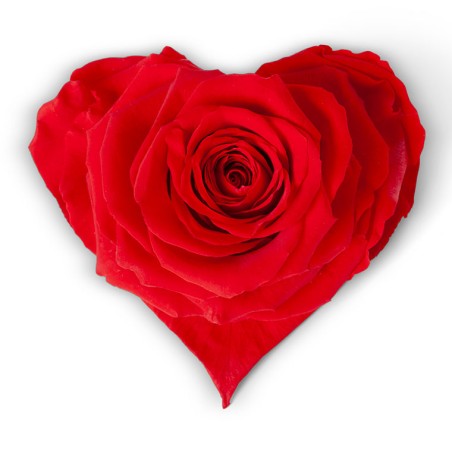 VERDISSIMO-ROSE Coeur pièce