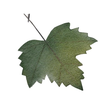 FEUILLE D'AUTOMNE 27X18CM les 6P