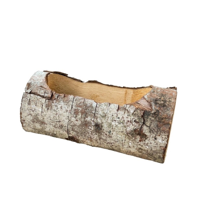 BUCHE BOULEAU 20CM (filet de 20P)