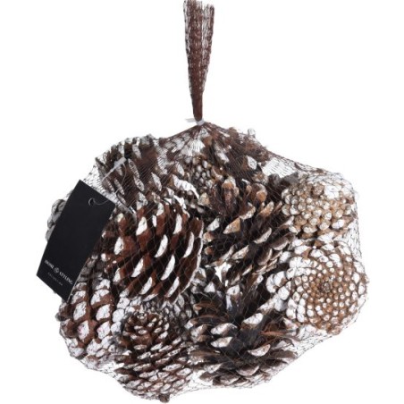 POMMES DE PIN BLANCHIES SAC 350GR le filet