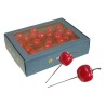 POMME SUR PIQUE 30mm Boite 48P