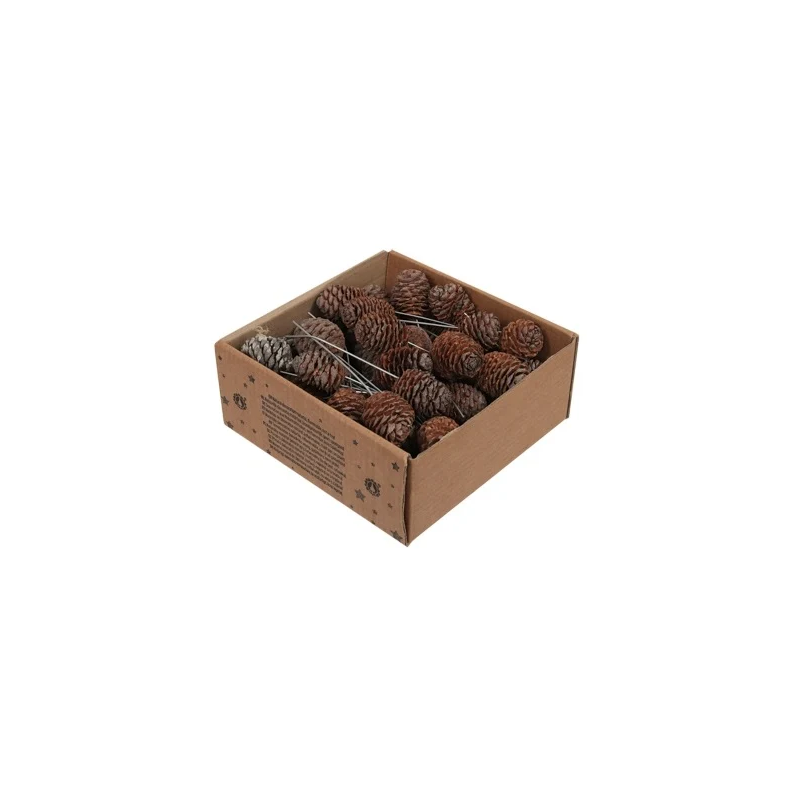 POMME DE PIN MUIRII 10CM Boite 50P