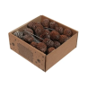 POMME DE PIN MUIRII 10CM Boite 50P