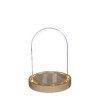 VERRE CLOCHE SUR SOCLE LED 012 H16.5CM/1P
