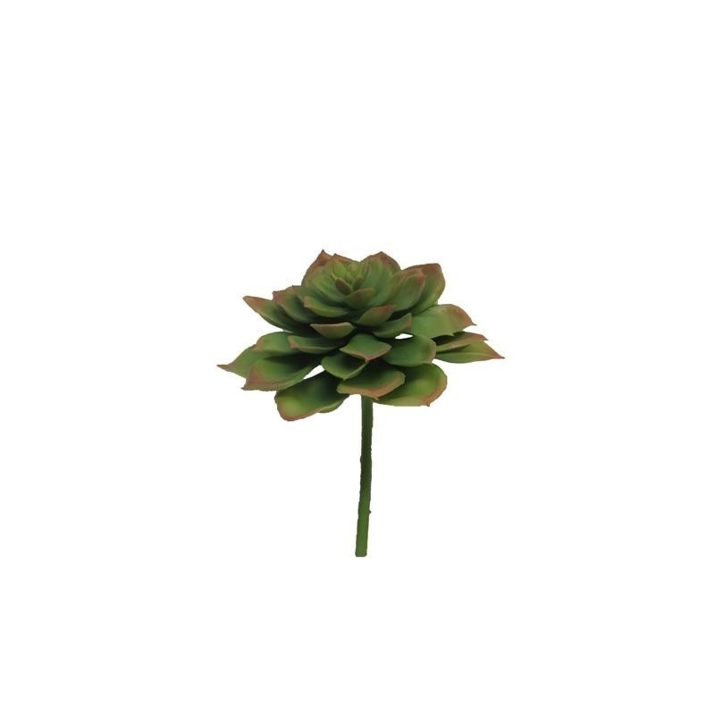 FLEUR EUCHEVERIA VERT 17CM à la pièce
