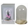 VERRE CLOCHE SUR PLATEAU BOIS Diam.15 /1P