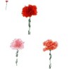 FLEUR OEILLET H48CM BOITE 120P
