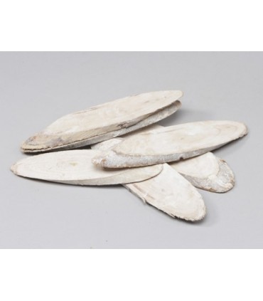 TRANCHE DE BOIS 20-25CM /6P