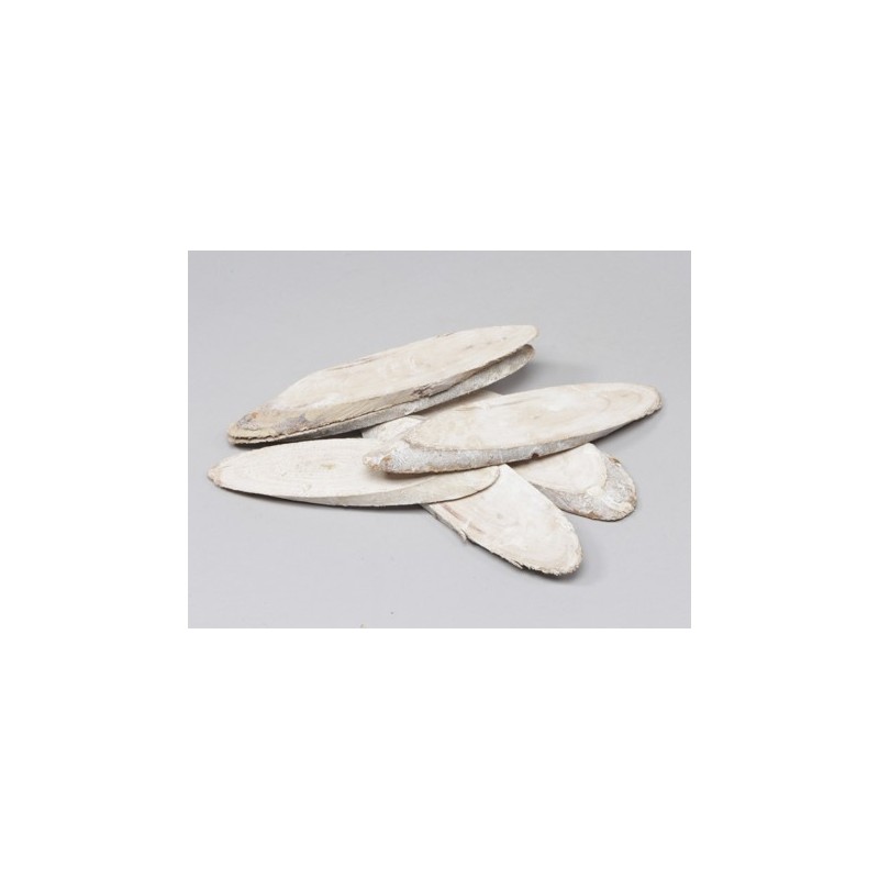 TRANCHE DE BOIS 20-25CM /6P