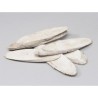 TRANCHE DE BOIS 20-25CM /6P