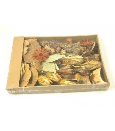 EXOTIQUE assortiment SECHE / BOITE