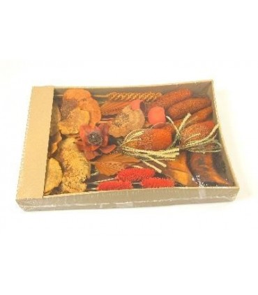 EXOTIQUE assortiment SECHE / BOITE