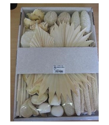 EXOTIQUE assortiment SECHE / BOITE