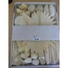 EXOTIQUE assortiment SECHE / BOITE