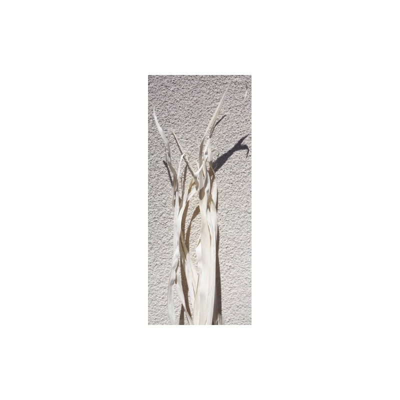 LONG PALM 200CM /10P