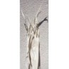 LONG PALM 200CM /10P