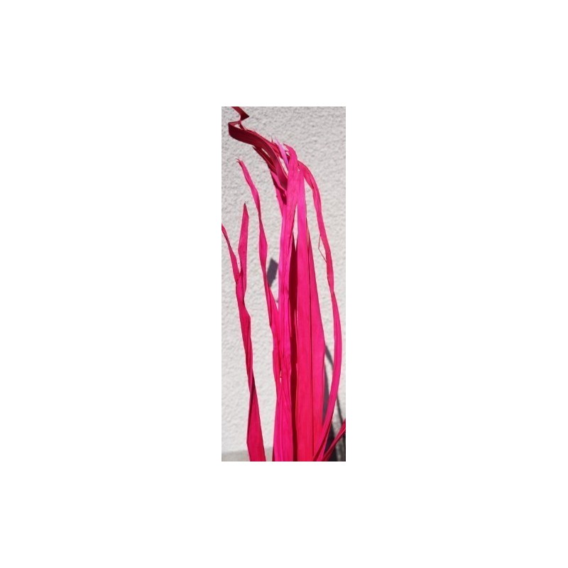 LONG PALM 200CM /10P