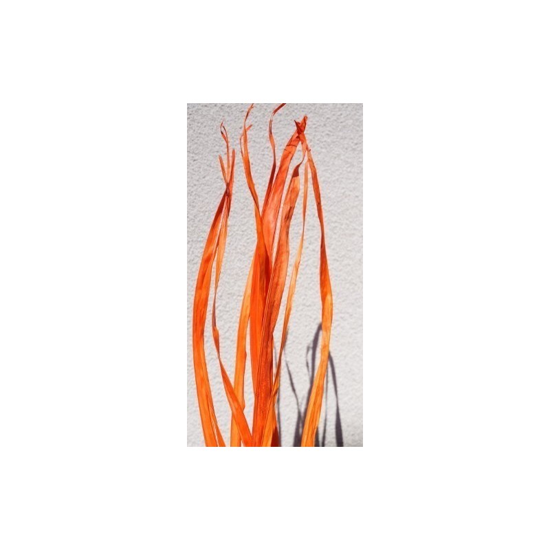 LONG PALM 200CM /10P