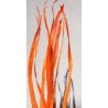 LONG PALM 200CM /10P