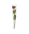 CONE A ROSE 65X13.5X03CM TRANSPARENT les  50P