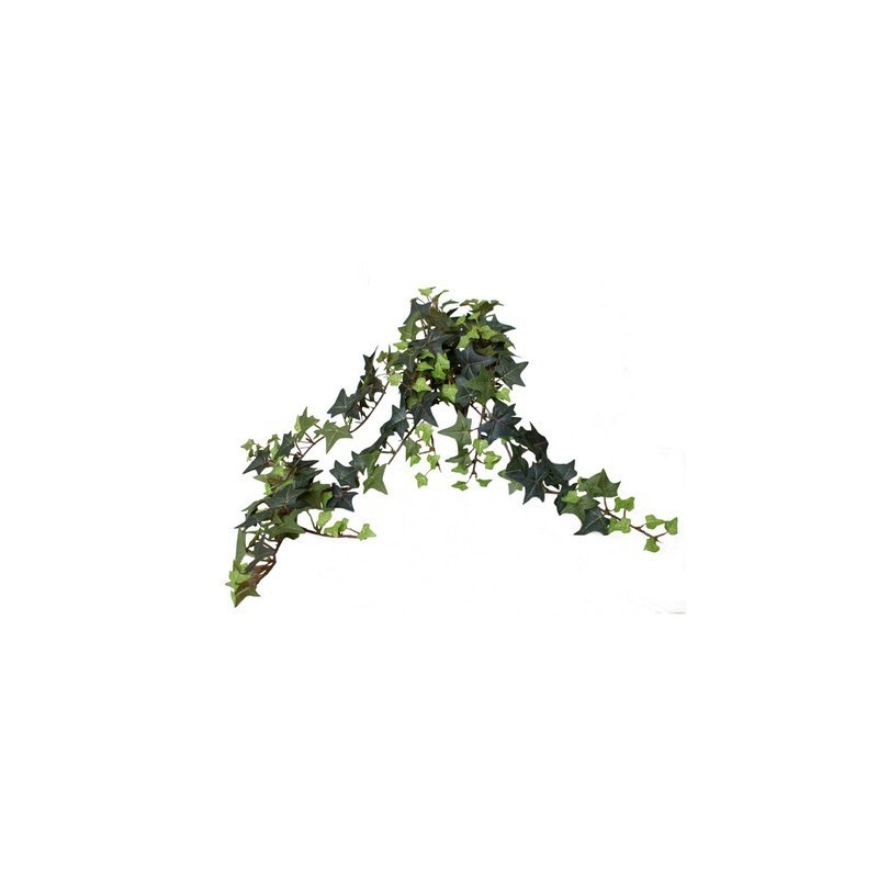 LIERRE CHUTE 58CM / 1 PIECE